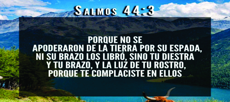 Radio Cristiana